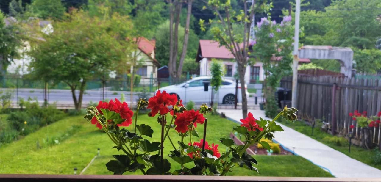 Casa Bunicilor Sinaia Villa Ngoại thất bức ảnh