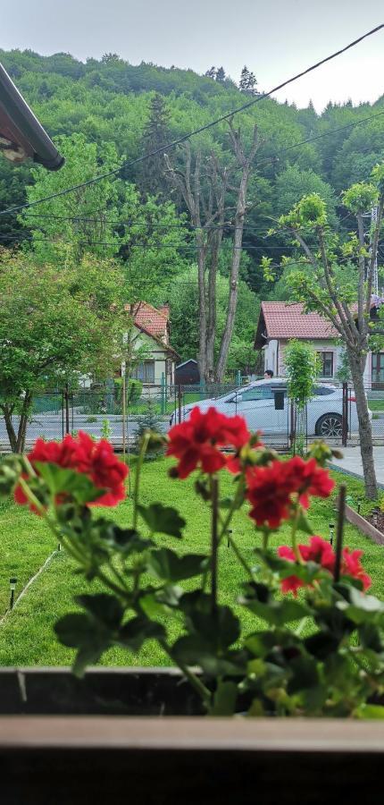 Casa Bunicilor Sinaia Villa Ngoại thất bức ảnh
